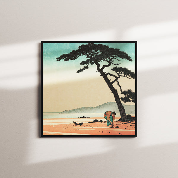 shore-pine black frame