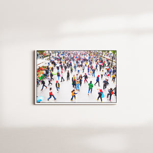 marigold avenue — white frame