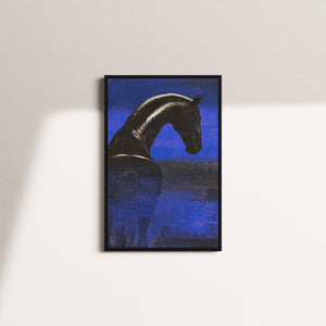 midnight stallion — black frame