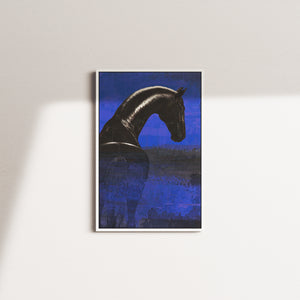 midnight stallion — white frame