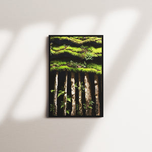 moss beacon — black frame