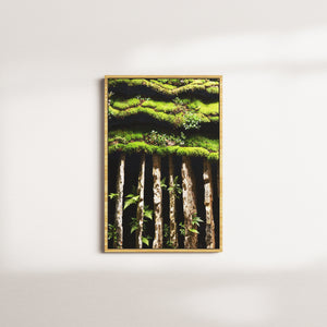 moss beacon — oak frame