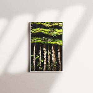 moss beacon — white frame