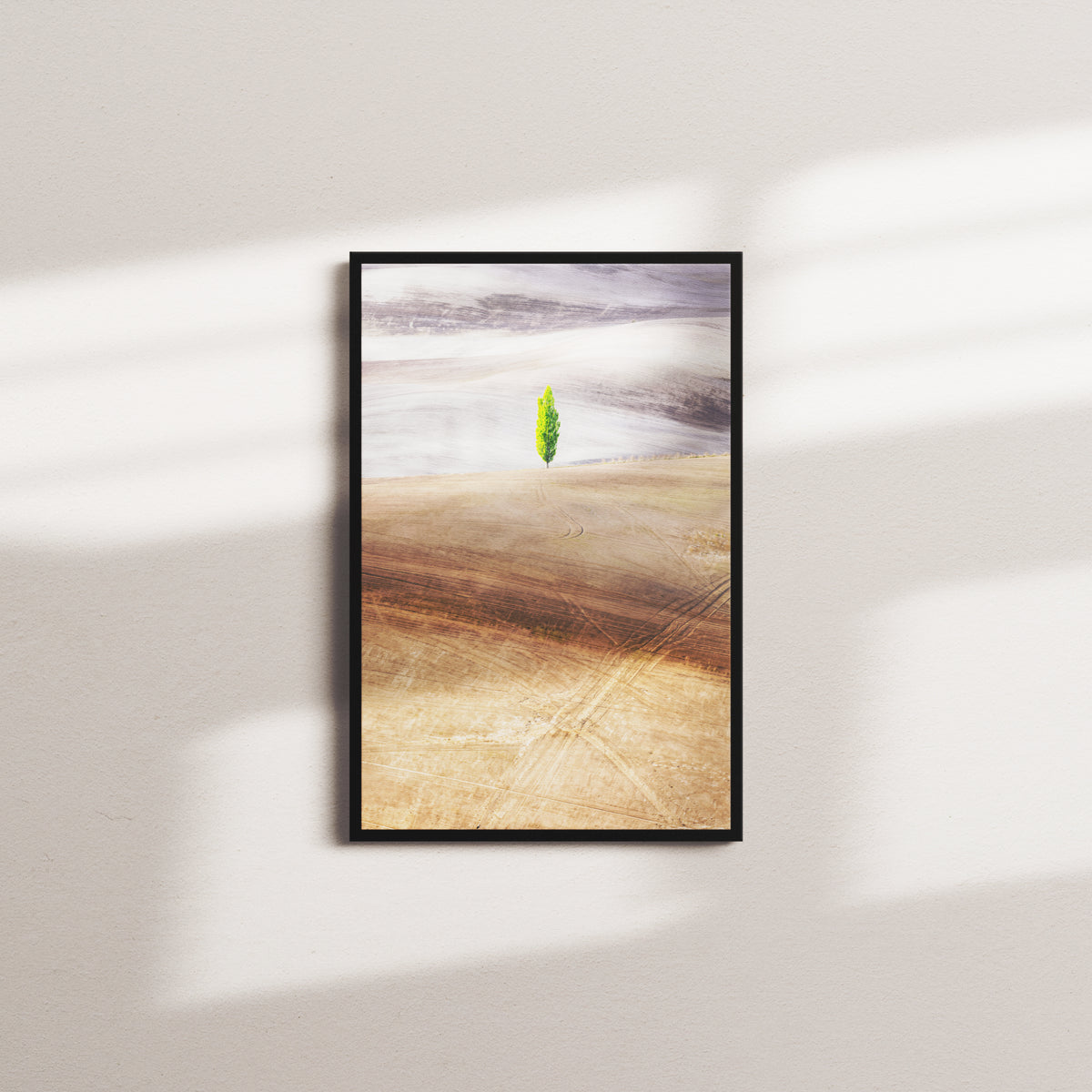 moss canopy — black frame