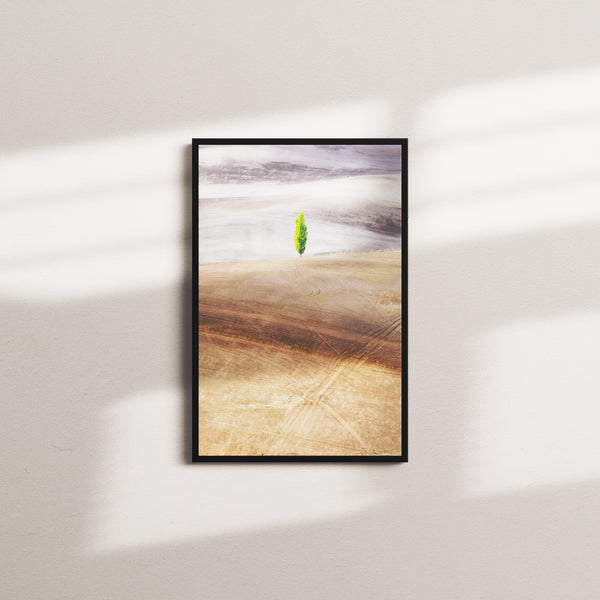 moss canopy — black frame