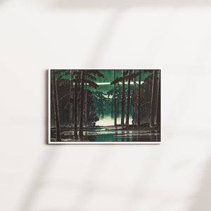 moss pine — white frame