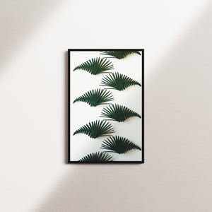 moss tone — black frame