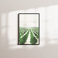 moss veil — black frame