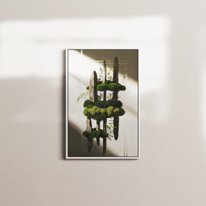 mossy ascension — white frame