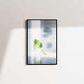olive afterglow — black frame