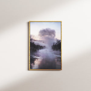 peony pine — oak frame