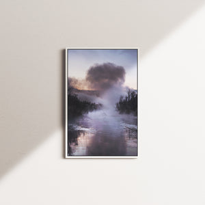 peony pine — white frame