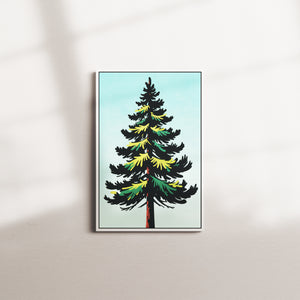 pine whispers — white frame