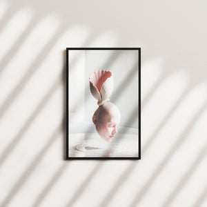 rose tide — black frame