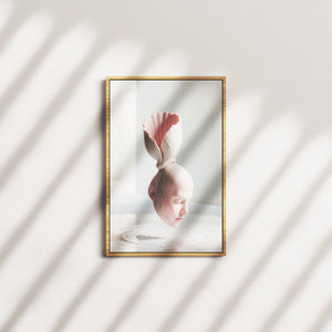 rose tide — oak frame