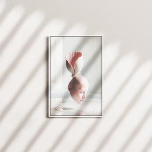 rose tide — white frame