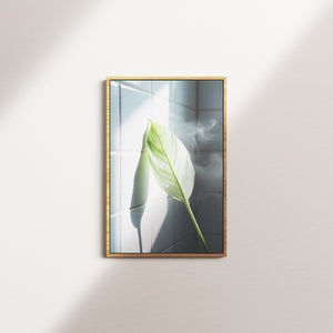 sage reverie — oak frame