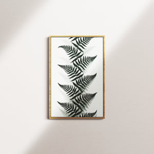 shadow canopy — oak frame