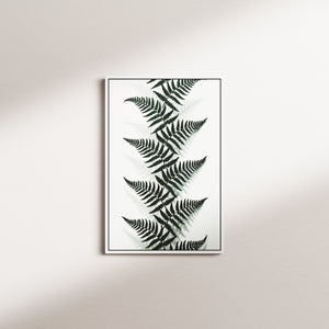 shadow canopy — white frame