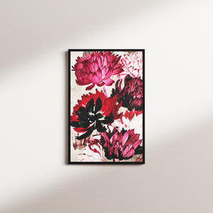 signal bloom — black frame