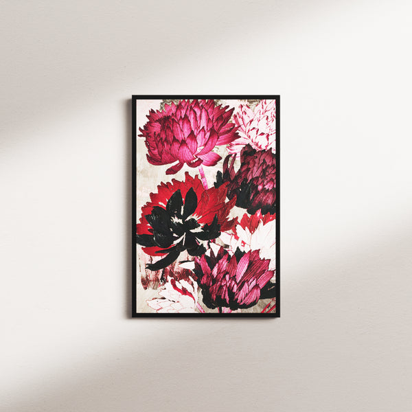 signal bloom — black frame