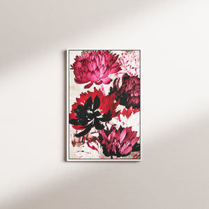 signal bloom — white frame