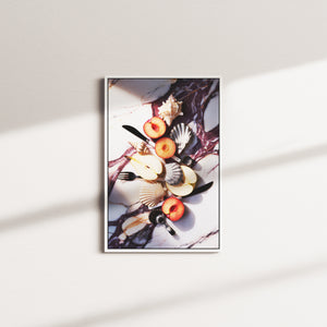 sundial appetite — white frame