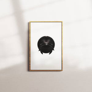 tentacled sphere — oak frame