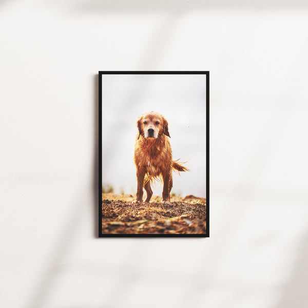 terracotta guardian — black frame