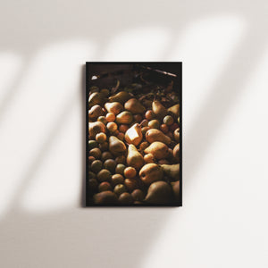 terracotta hour — black frame
