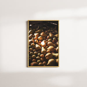 terracotta hour — oak frame