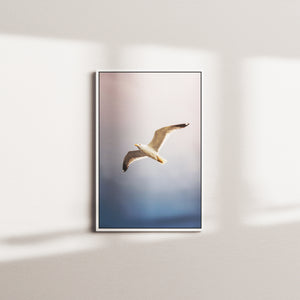 tidal veil tableau — white frame