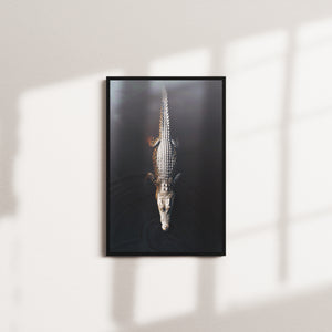 umber current — black frame