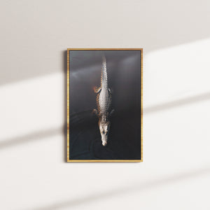 umber current — oak frame