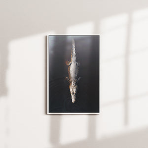 umber current — white frame