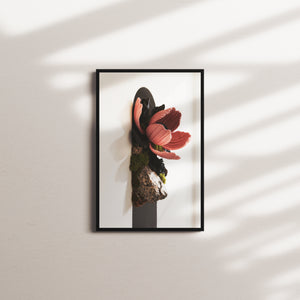 velvet bloom — black frame