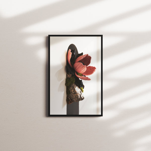 velvet bloom — black frame