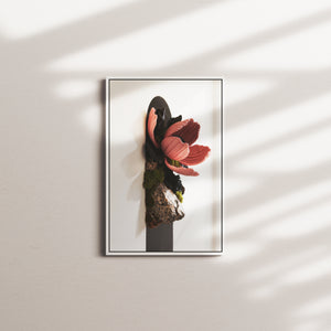velvet bloom — white frame