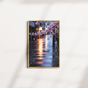 velvet vesper — oak frame