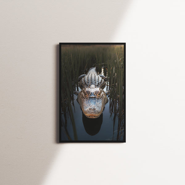 waterbound vigil — black frame