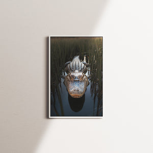 waterbound vigil — white frame