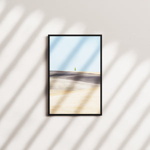 willow pine — black frame