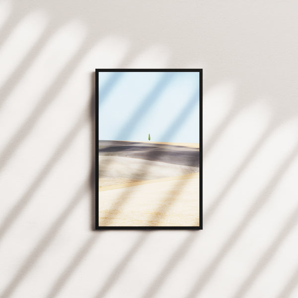 willow pine — black frame