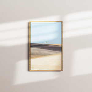 willow pine — oak frame