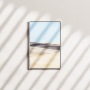 willow pine — white frame