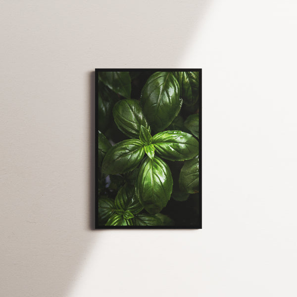 willow tide — black frame