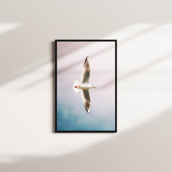 wingspan serenity — black frame
