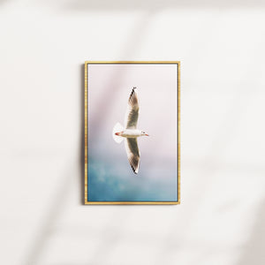 wingspan serenity — oak frame