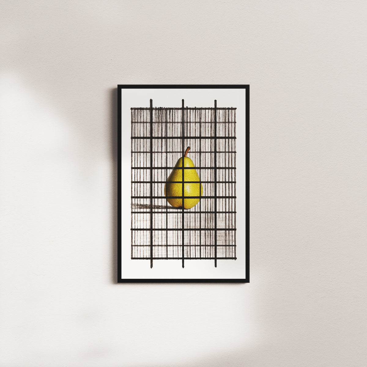 wirebound pome — black frame