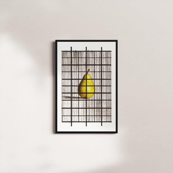 wirebound pome — black frame